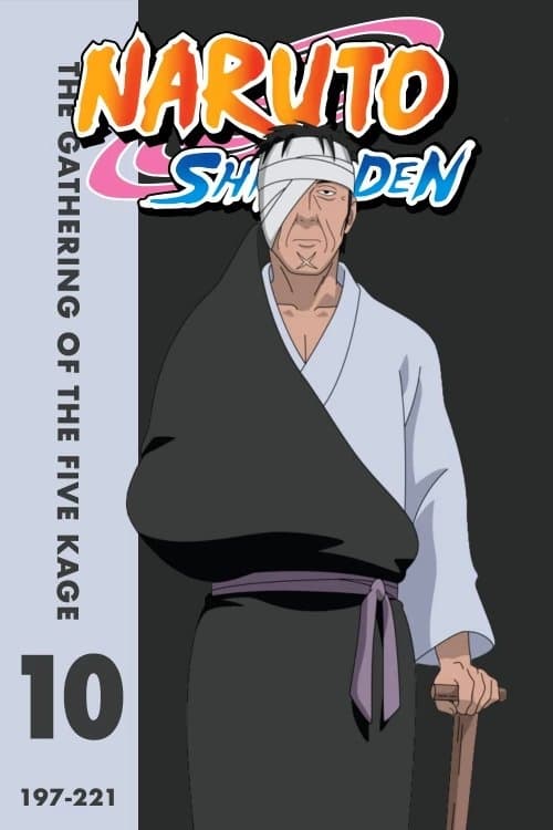 Naruto Shippuden: Season 10: The Gathering of the Five Kage (2011) Hindi Dubbed Sony Yay! India Dub Complete Anime Series 1080p 720p & 480p Anime4U {On Break}